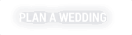 Plan a Wedding text overlay
